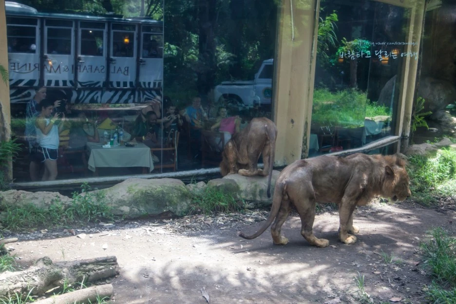 5D_IMG_2747_Short1200mark%EB%B0%94%EB%9E%8C.jpg?type=w1