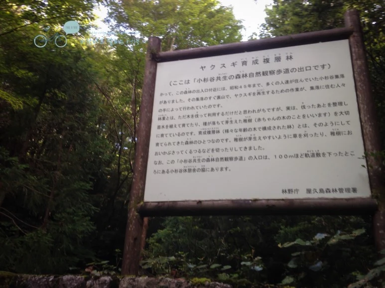 IMG_1274_wide1080.jpg?type=w773