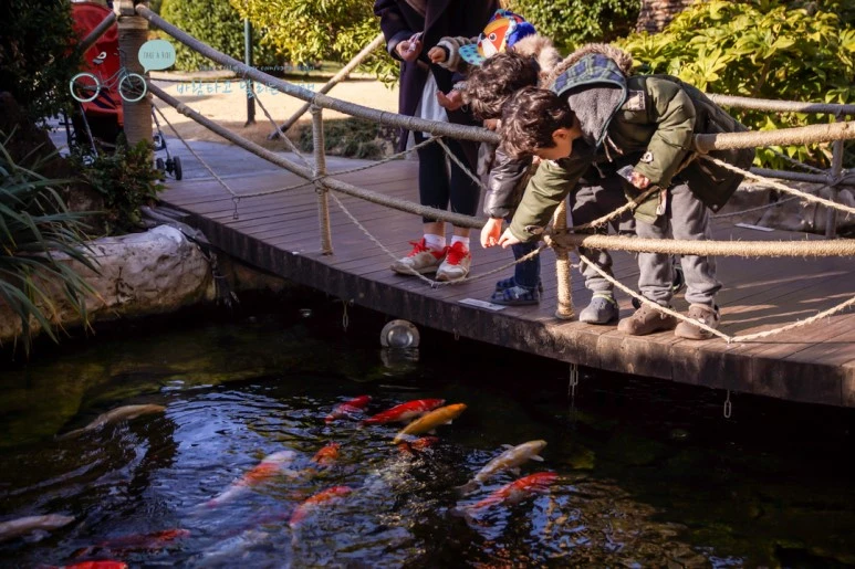 DSC00038_4.jpg?type=w773