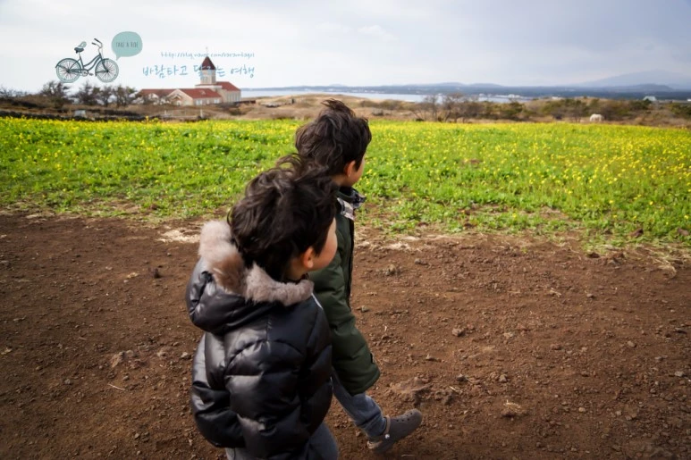 DSC00243_3.jpg?type=w773