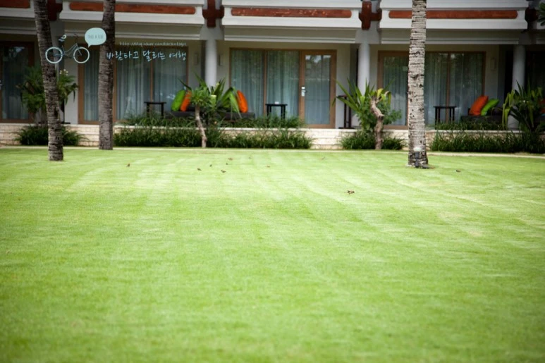 IMG_0222_Wide1080mark%EB%B0%94%EB%9E%8C%ED%83%80%EA%B3%A0.jpg?type=w773