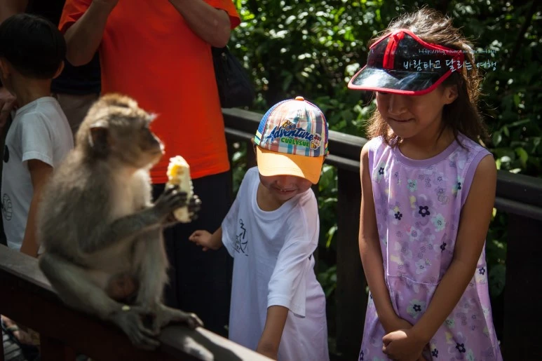 5D_IMG_1712_Short1200mark%EB%B0%94%EB%9E%8C.jpg?type=w773