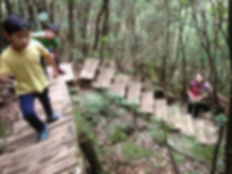 image_6263986421486446636498.jpg?type=w773