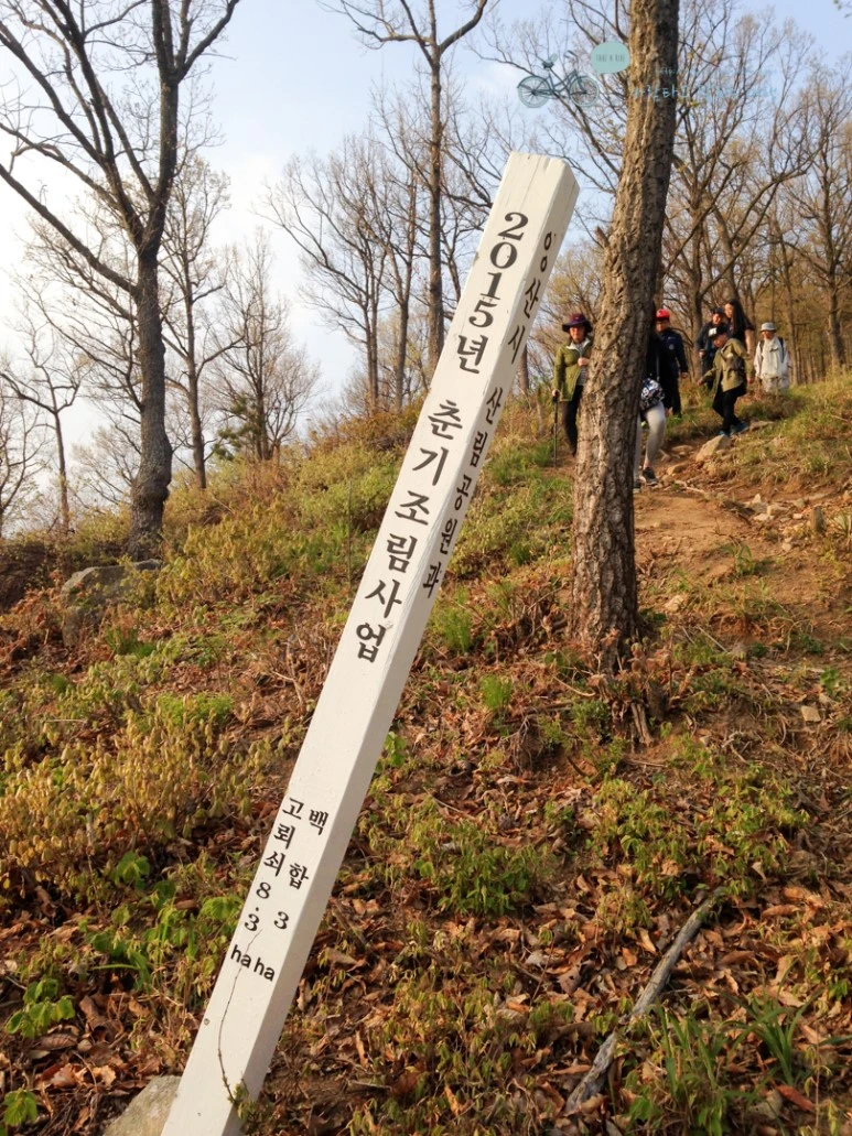 IMG_2090_Wide1080mark%EB%B0%94%EB%9E%8C.jpg?type=w773