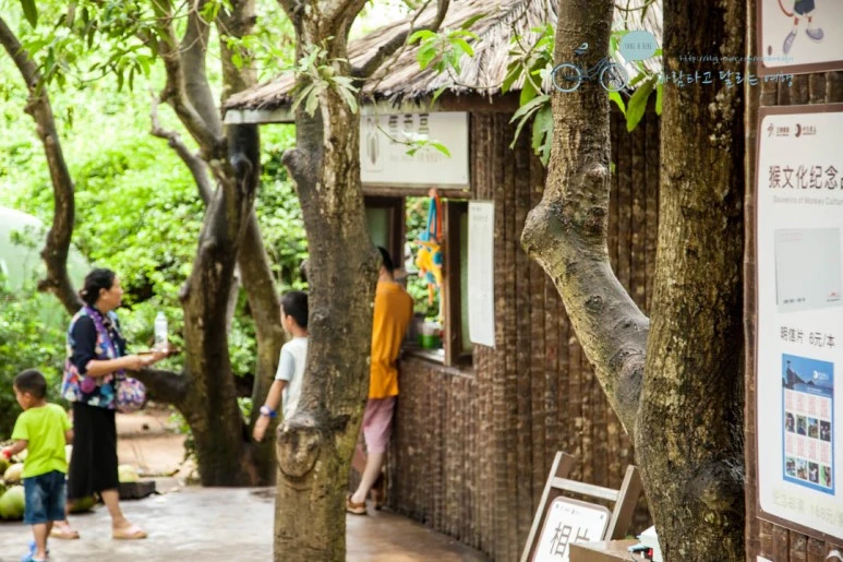 IMG_1329_wide1080%EB%B0%94%EB%9E%8Cmark.jpg?type=w773