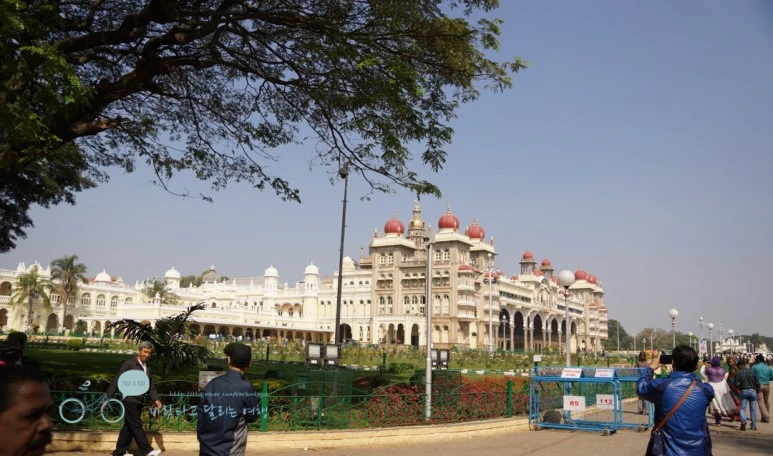 DSC00066.jpg?type=w773