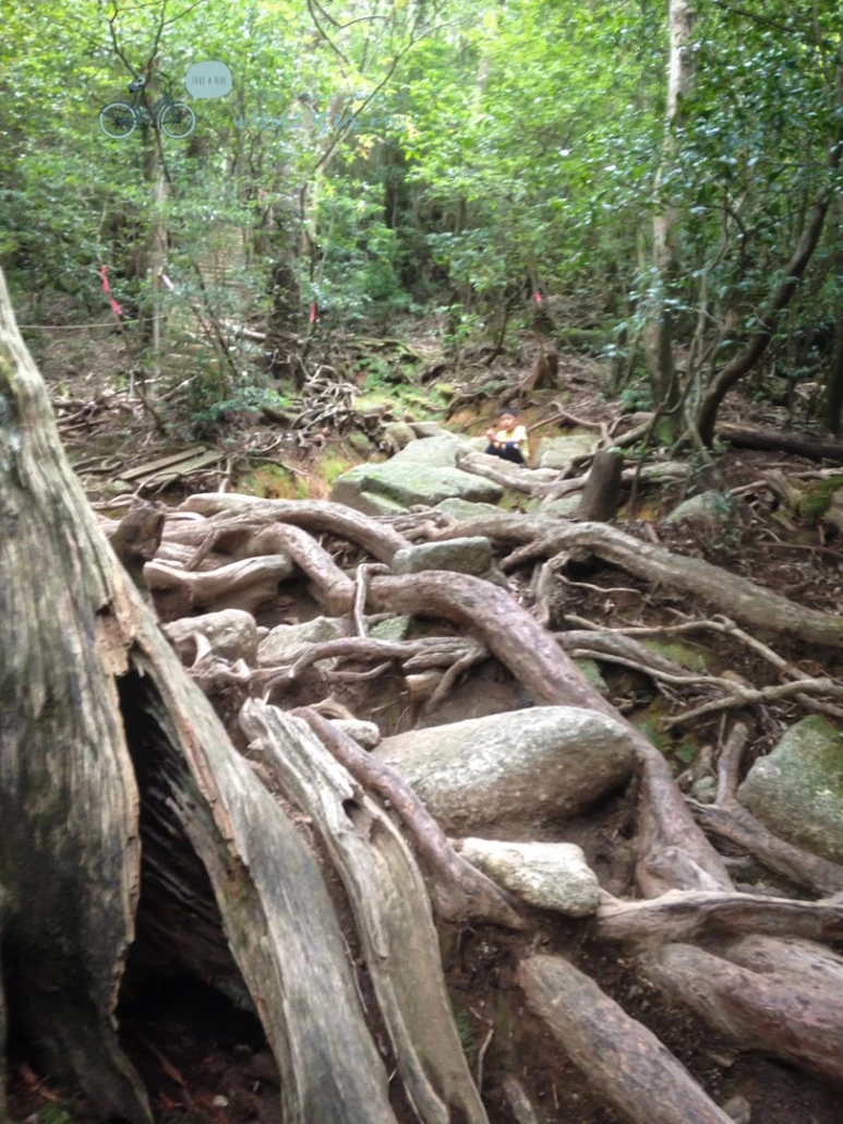 IMG_1356_wide1080.jpg?type=w773