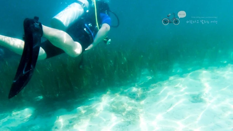 40_Wide1080mark%EB%B0%94%EB%9E%8C%ED%83%80%EA%B3%A0.jpg?type=w773