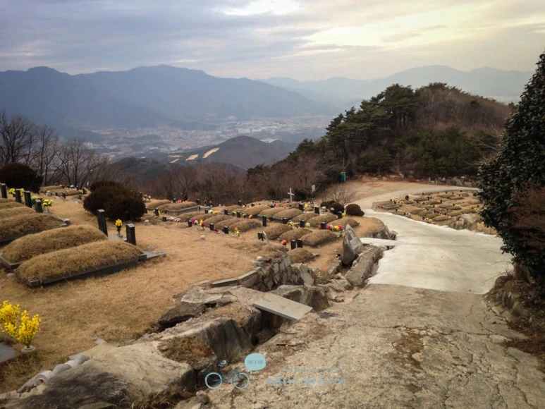 IMG_1614-_Wide1080mark.jpg?type=w773