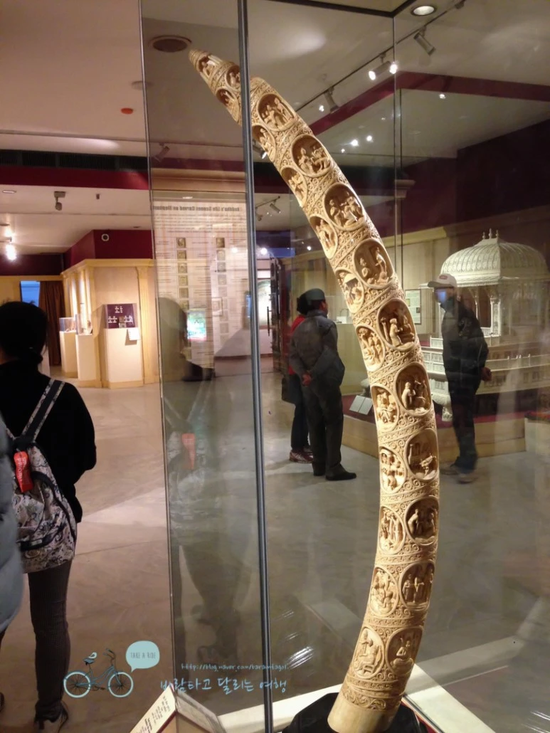 IMG_2867.jpg?type=w773