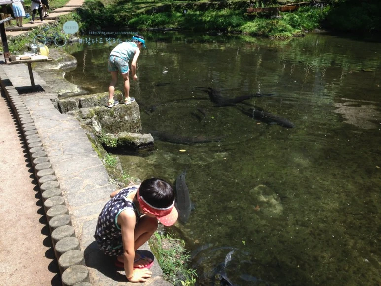 IMG_8098_wide1080mark.jpg?type=w773