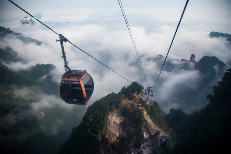 IMG_0093_Wide1080mark%EB%B0%94%EB%9E%8C.jpg?type=w773