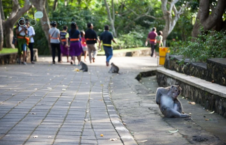 IMG_0550_Wide1080mark%EB%B0%94%EB%9E%8C%ED%83%80%EA%B3%A0-2.jpg?type=w773