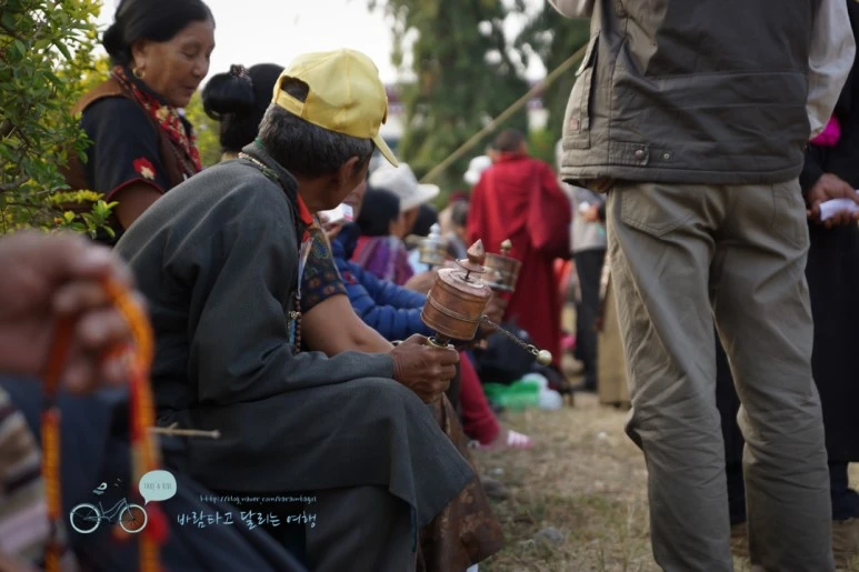 DSC00205.jpg?type=w773