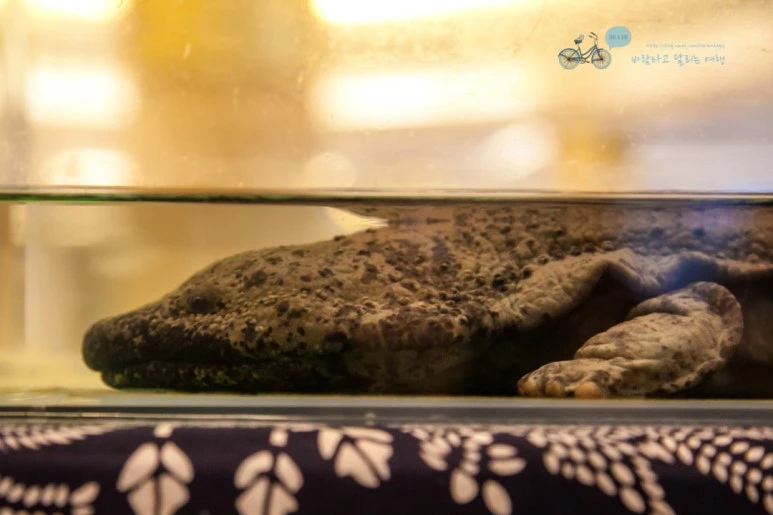 IMG_0836_Wide1080mark%EB%B0%94%EB%9E%8C.jpg?type=w773