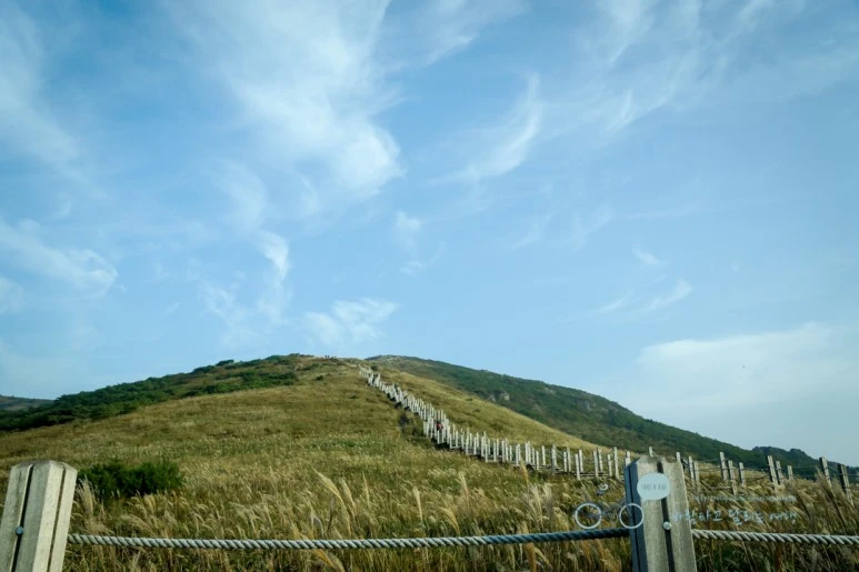 DSC04539_wide1080mark.jpg?type=w773