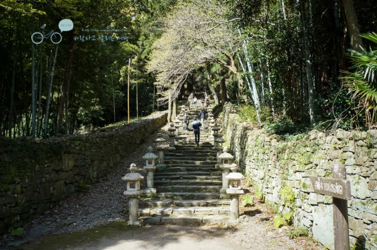 DSC07927_wide1080mark.jpg?type=w773