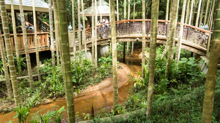 DSC05785_wide1080mark%EB%B0%94%EB%9E%8C.jpg?type=w773