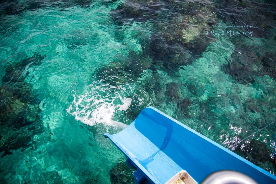 5D_IMG_1992_Short1200mark%EB%B0%94%EB%9E%8C.jpg?type=w1