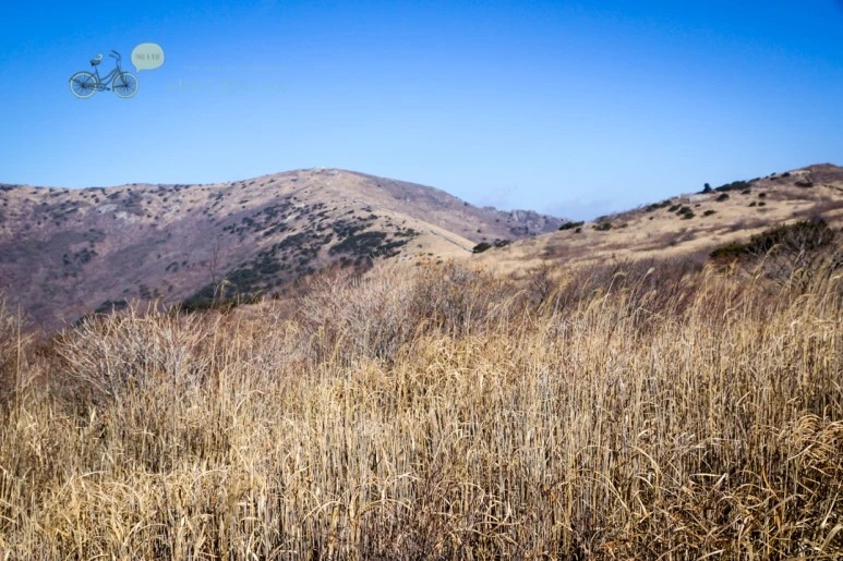 DSC04569_wide1080mark.jpg?type=w773