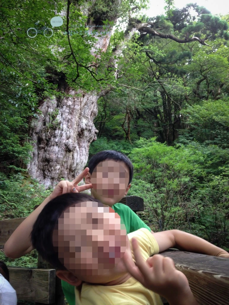 image_8996707611486451450057.jpg?type=w773