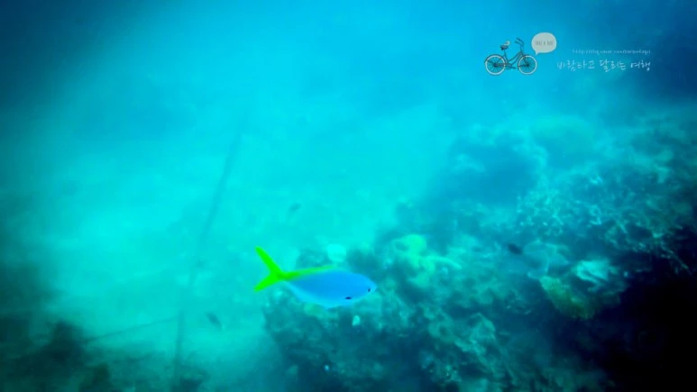 IMG_06_Wide1080mark%EB%B0%94%EB%9E%8C%ED%83%80%EA%B3%A0.jpg?type=w773