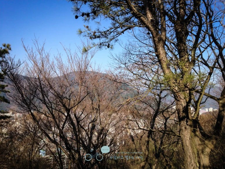 IMG_1186-_Wide1080mark%EB%B0%94%EB%9E%8C.jpg?type=w773