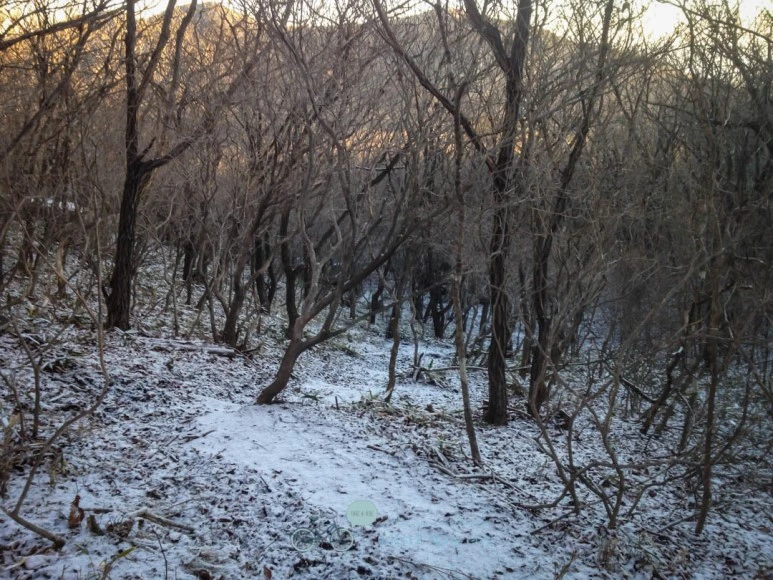 IMG_1391-_Wide1080mark%EB%B0%94%EB%9E%8C.jpg?type=w773