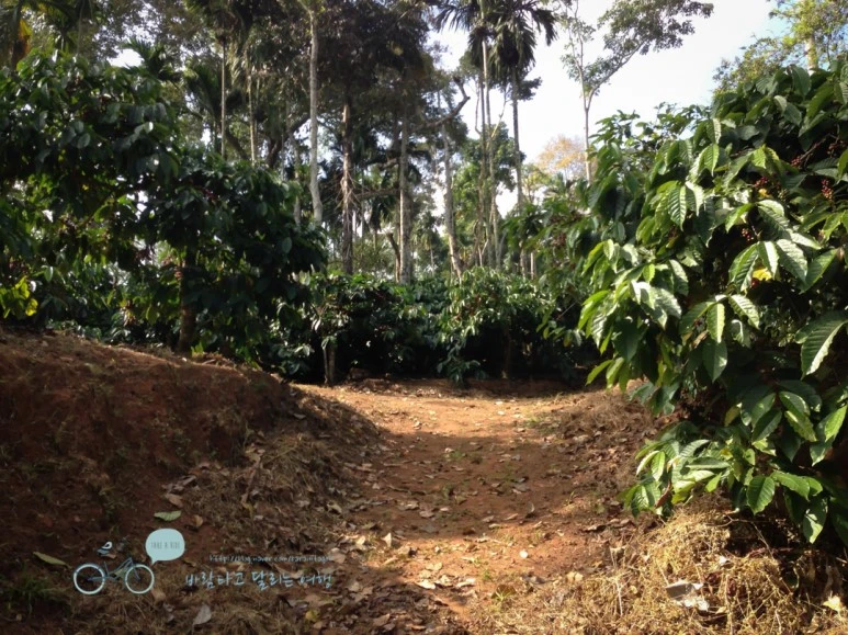 IMG_2821.jpg?type=w773