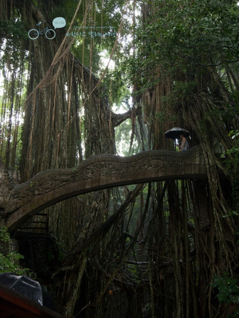 IMG_0239_Wide1080mark%EB%B0%94%EB%9E%8C%ED%83%80%EA%B3%A0-2.jpg?type=w773