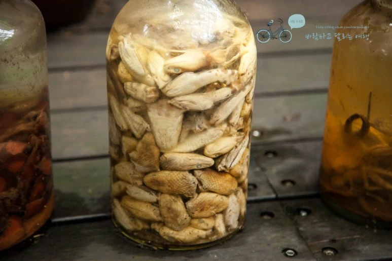 IMG_0341_wide1080%EB%B0%94%EB%9E%8Cmark.jpg?type=w773