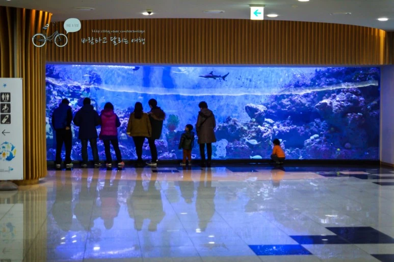 DSC00270_2.jpg?type=w773