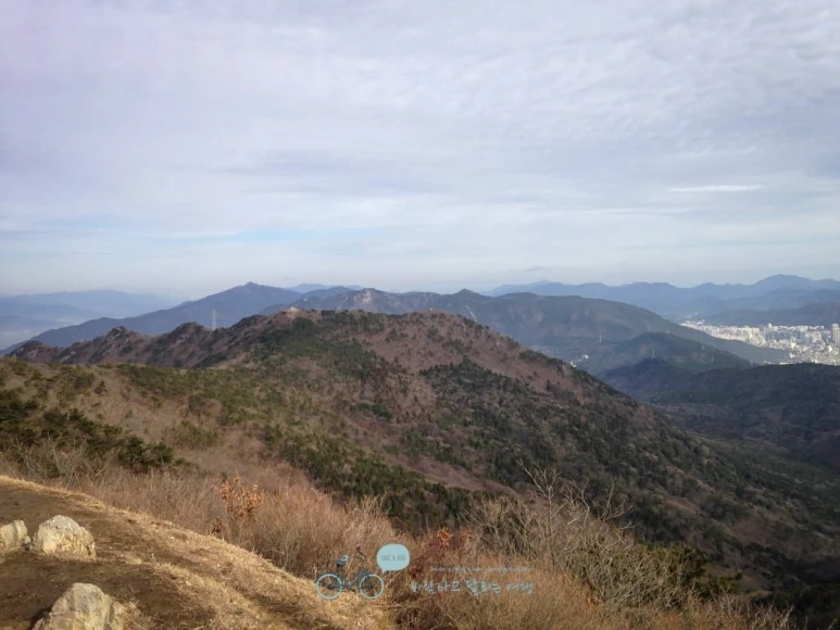 IMG_1289-_Wide1080mark%EB%B0%94%EB%9E%8C.jpg?type=w773