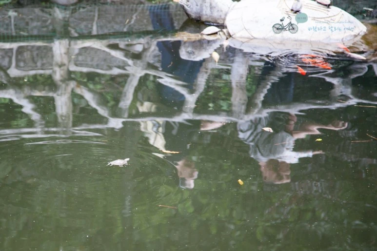 IMG_1277_Wide1080mark%EB%B0%94%EB%9E%8C.jpg?type=w773