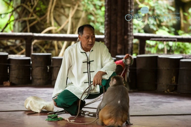 IMG_1457_wide1080%EB%B0%94%EB%9E%8Cmark.jpg?type=w773