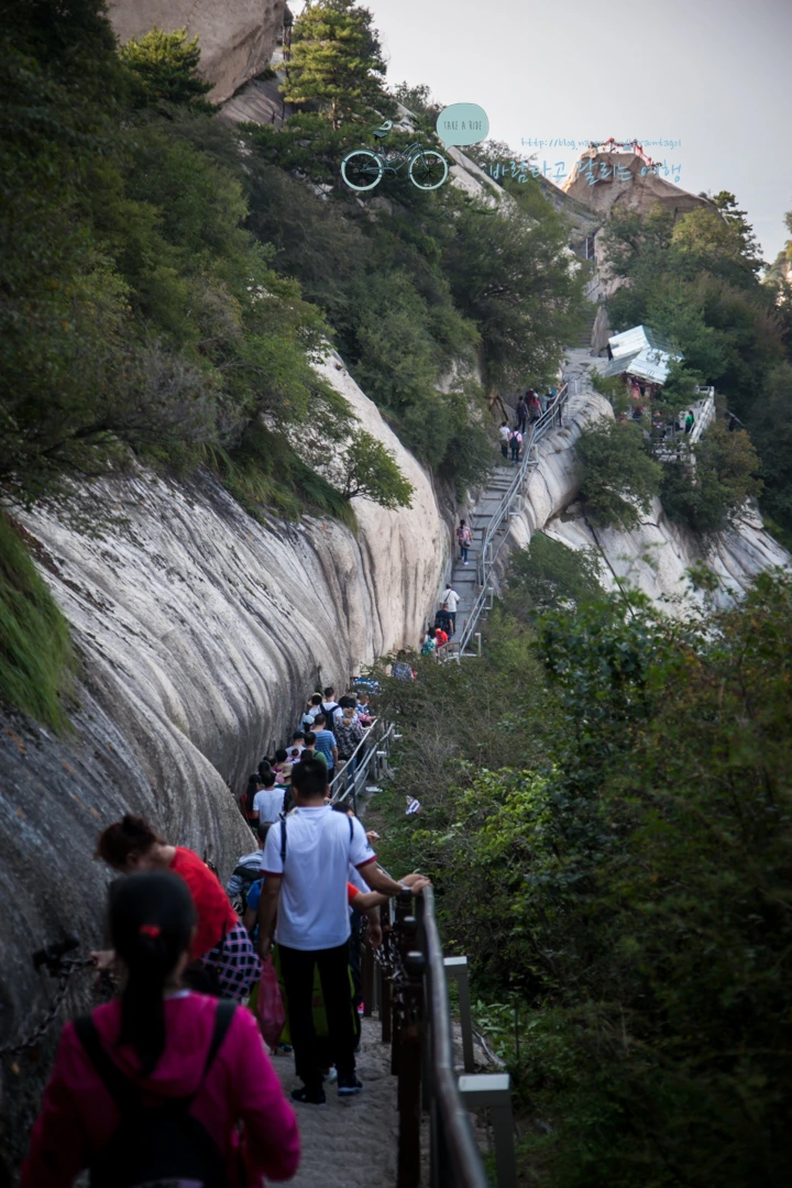 IMG_0405_Wide1080_mark%EB%B0%94%EB%9E%8C.jpg?type=w773