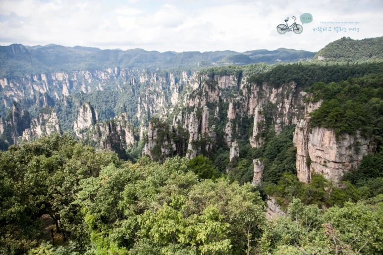 IMG_1208_Wide1080mark%EB%B0%94%EB%9E%8C.jpg?type=w773