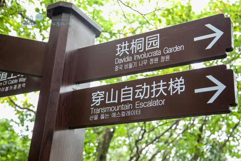 IMG_0377_Wide1080mark%EB%B0%94%EB%9E%8C.jpg?type=w773