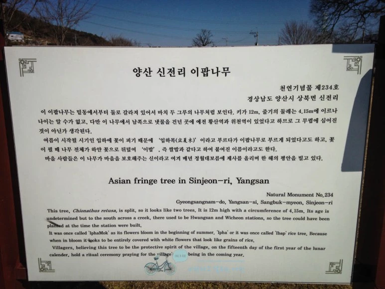 IMG_1699-_Wide1080mark.jpg?type=w773