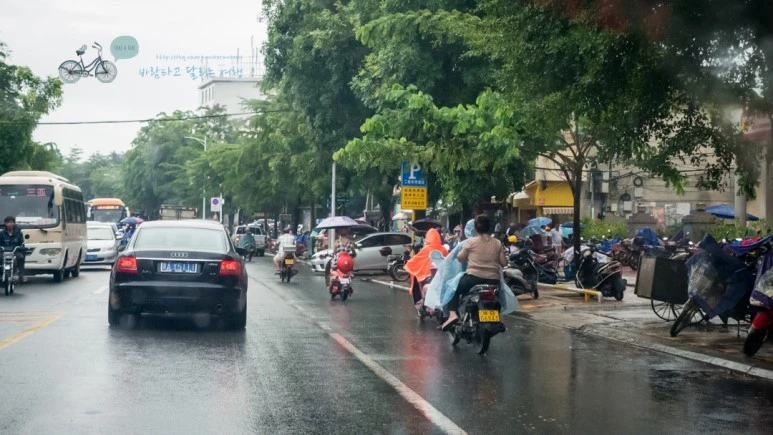 _1000154_wide1080_Wide1080mark_%EB%B0%94%EB%9E%8C.jpg?type=w773