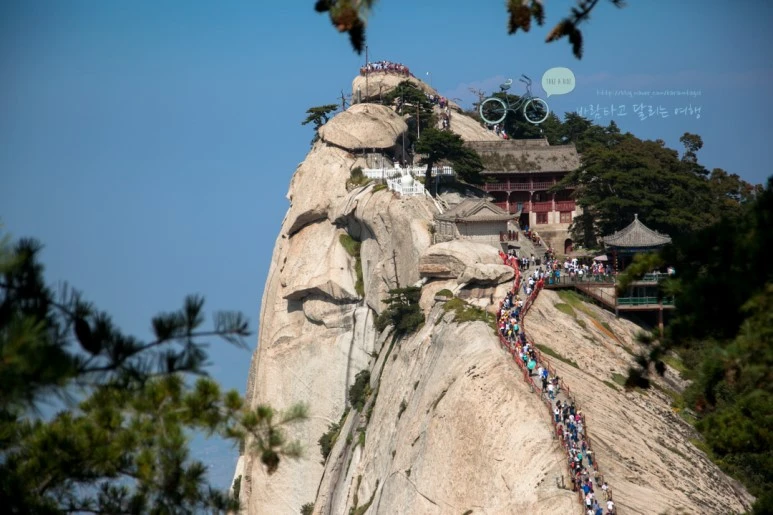 IMG_0183_Wide1080_mark%EB%B0%94%EB%9E%8C.jpg?type=w773