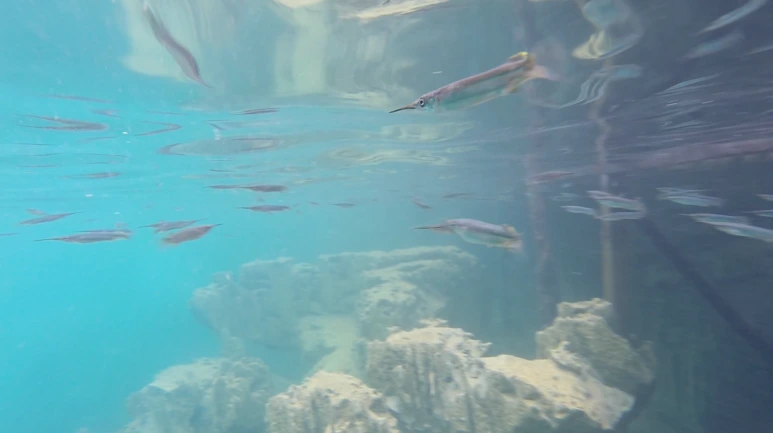 %EC%8A%A4%ED%81%AC%EB%A6%B0%EC%83%B7_2017-07-04_10.15.26.png?type=w773