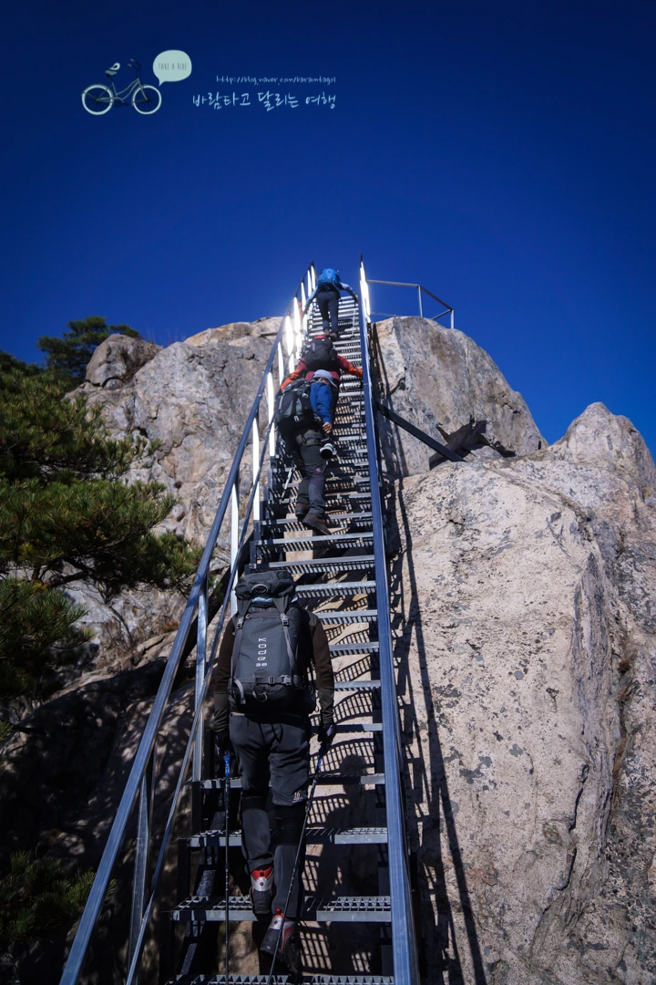 DSC05971_wide1080mark.jpg?type=w773