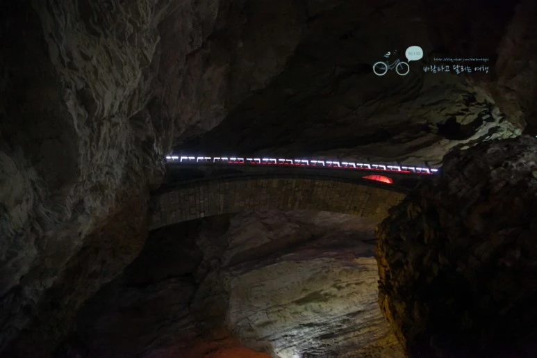 IMG_1160_Wide1080mark%EB%B0%94%EB%9E%8C.jpg?type=w773