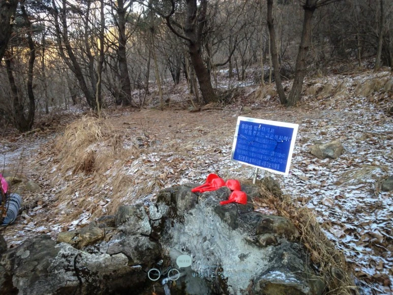 IMG_1394-_Wide1080mark%EB%B0%94%EB%9E%8C.jpg?type=w773