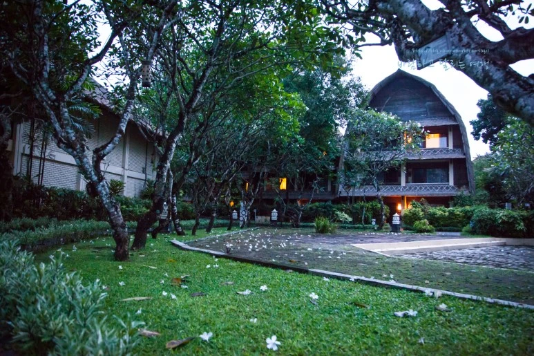 5D_IMG_1648_Short1200mark%EB%B0%94%EB%9E%8C.jpg?type=w773