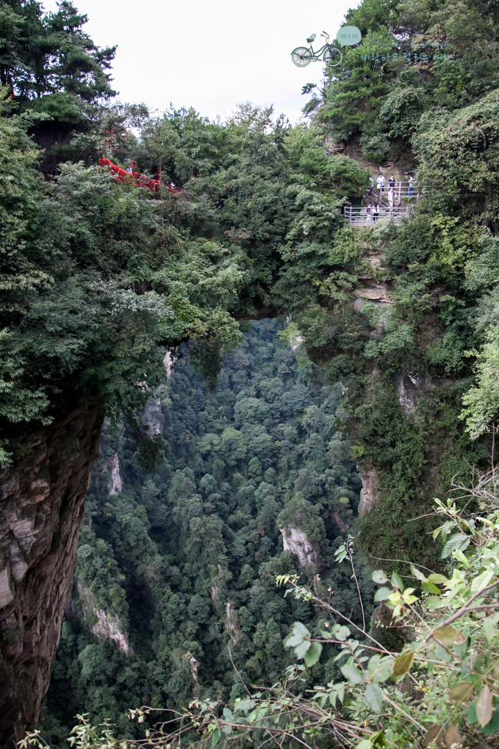 IMG_1267_Wide1080mark%EB%B0%94%EB%9E%8C.jpg?type=w773