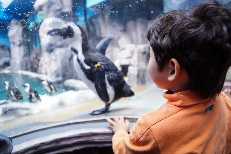 DSC00287_2.jpg?type=w773