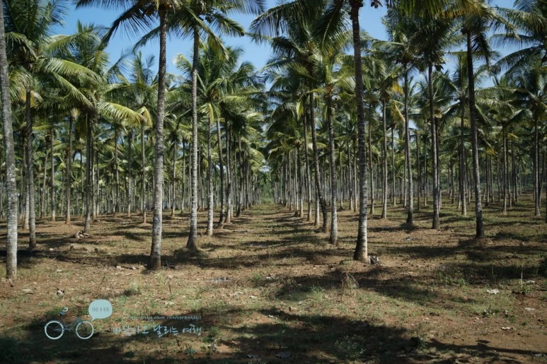 DSC00029.jpg?type=w773