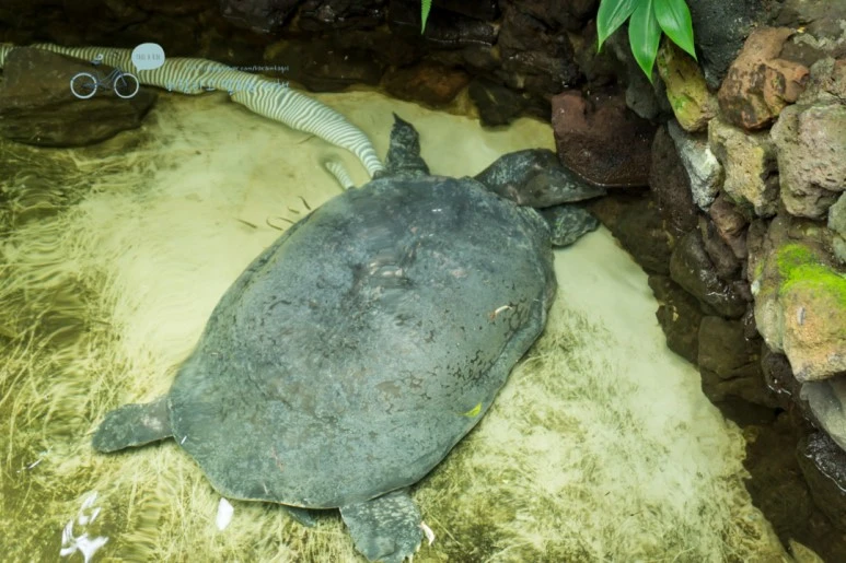 DSC03824_Wide1080.jpg?type=w773